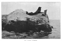 An illustration from Scientific American, Vol. 80, No. 25 (June 1899) (1899)