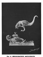 Picture 4 of 15 from Scientific American, Vol. 81, No. 2 (July 1899) (1899), leaf 4