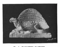 Picture 5 of 15 from Scientific American, Vol. 81, No. 2 (July 1899) (1899), leaf 4