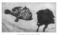 An illustration from Scientific American, Vol. 81, No. 4 (July 1899) (1899)