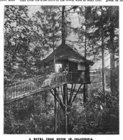 Picture 9 of 13 from Scientific American, Vol. 81, No. 7 (August 1899) (1899), leaf 8