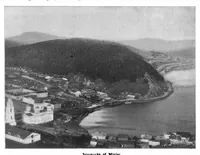 Picture 8 of 14 from Scientific American, Vol. 81, No. 9 (August 1899) (1899), leaf 8