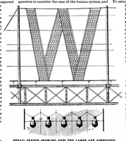 Picture 14 of 16 from Scientific American, Vol. 81, No. 15 (October 1899) (1899), leaf 10