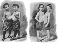 An illustration from Scientific American, Vol. 81, No. 17 (October 1899) (1899)