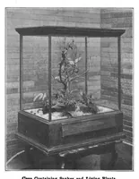 Picture 6 of 10 from Scientific American, Vol. 82, No. 1 (January 1900) (1900), leaf 9