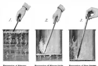 An illustration from Scientific American, Vol. 82, No. 13 (March 1900) (1900)