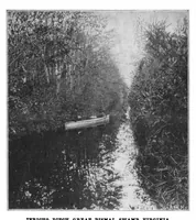 Picture 10 of 14 from Scientific American, Vol. 82, No. 16 (April 1900) (1900), leaf 8