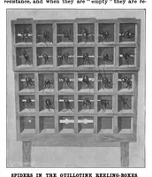 Picture 5 of 15 from Scientific American, Vol. 83, No. 9 (September 1900) (1900), leaf 4