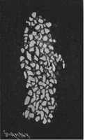 An illustration from Scientific American, Vol. 83, No. 16 (October 1900) (1900)