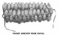 Picture 14 of 16 from Scientific American, Vol. 83, No. 17 (October 1900) (1900), leaf 10