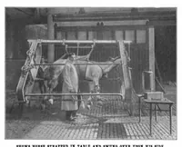Picture 1 of 17 from Scientific American, Vol. 83, No. 18 (November 1900) (1900), leaf 3