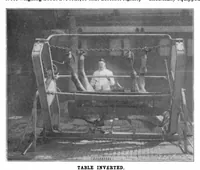 An illustration from Scientific American, Vol. 83, No. 18 (November 1900) (1900)