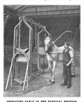 An illustration from Scientific American, Vol. 83, No. 18 (November 1900) (1900)