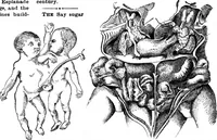 Picture 11 of 38 from Scientific American, Vol. 83, No. 23 (December 1900) (1900), leaf 8