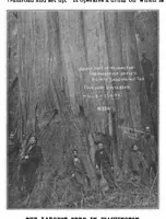 Picture 13 of 22 from Scientific American, Vol. 83, No. 26 (December 1900) (1900), leaf 8