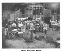 Picture 3 of 16 from Scientific American, Vol. 84, No. 1 (January 1901) (1901), leaf 1