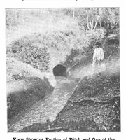 Picture 3 of 16 from Scientific American, Vol. 84, No. 2 (January 1901) (1901), leaf 3