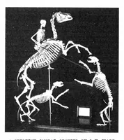 An illustration from Scientific American, Vol. 84, No. 3 (January 1901) (1901)