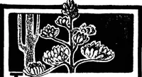 Picture 36 of 38 from Scientific American, Vol. 84, No. 5 (February 1901) (1901), leaf 15