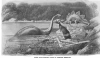 An illustration from Scientific American, Vol. 84, No. 12 (March 1901) (1901)