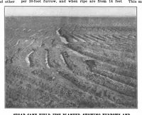 Picture 7 of 18 from Scientific American, Vol. 84, No. 14 (April 1901) (1901), leaf 4