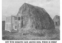 Picture 13 of 19 from Scientific American, Vol. 84, No. 20 (May 1901) (1901), leaf 9