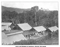 Picture 9 of 18 from Scientific American, Vol. 84, No. 23 (June 1901) (1901), leaf 7