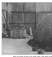 Picture 9 of 13 from Scientific American, Vol. 85, No. 17 (October 1901) (1901), leaf 8