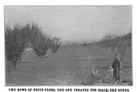 Picture 12 of 17 from Scientific American, Vol. 85, No. 23 (December 1901) (1901), leaf 9