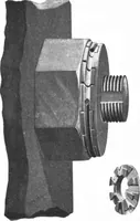 An illustration from Scientific American, Vol. 86, No. 4 (January 1902) (1902)
