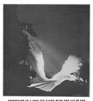 Picture 2 of 13 from Scientific American, Vol. 86, No. 8 (February 1902) (1902), leaf 3