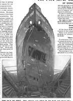 Picture 17 of 21 from Scientific American, Vol. 86, No. 16 (April 1902) (1902), leaf 13
