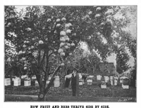 Picture 11 of 22 from Scientific American, Vol. 86, No. 24 (June 1902) (1902), leaf 8
