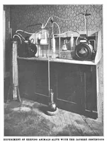 An illustration from Scientific American, Vol. 87, No. 13 (September 1902) (1902)