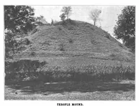 Picture 10 of 20 from Scientific American, Vol. 87, No. 18 (November 1902) (1902), leaf 8
