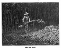 Picture 1 of 19 from Scientific American, Vol. 87, No. 22 (November 1902) (1902), leaf 3