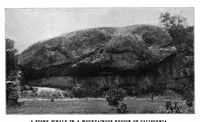 Picture 8 of 19 from Scientific American, Vol. 87, No. 22 (November 1902) (1902), leaf 7