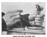 An illustration from Scientific American, Vol. 88, No. 1 (January 1903) (1903)