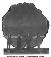 Picture 16 of 24 from Scientific American, Vol. 88, No. 2 (January 1903) (1903), leaf 10