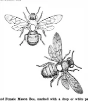 An illustration from Scientific American, Vol. 88, No. 2 (January 1903) (1903)
