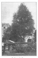 Picture 1 of 17 from Scientific American, Vol. 88, No. 4 (January 1903) (1903), leaf 3