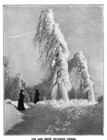 Picture 4 of 18 from Scientific American, Vol. 88, No. 6 (February 1903) (1903), leaf 4