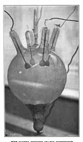 Picture 6 of 18 from Scientific American, Vol. 88, No. 6 (February 1903) (1903), leaf 7