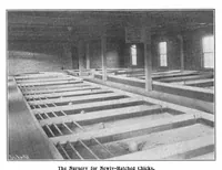 Picture 11 of 21 from Scientific American, Vol. 88, No. 23 (June 1903) (1903), leaf 8