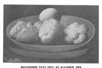 Picture 11 of 16 from Scientific American, Vol. 88, No. 26 (June 1903) (1903), leaf 9