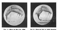 Picture 7 of 20 from Scientific American, Vol. 89, No. 5 (August 1903) (1903), leaf 5