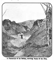 Picture 9 of 20 from Scientific American, Vol. 89, No. 5 (August 1903) (1903), leaf 7
