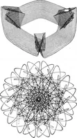 An illustration from Scientific American, Vol. 89, No. 7 (August 1903) (1903)