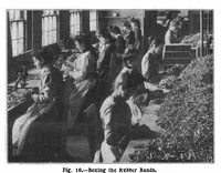 Picture 11 of 20 from Scientific American, Vol. 89, No. 8 (August 1903) (1903), leaf 8