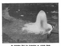Picture 14 of 20 from Scientific American, Vol. 89, No. 8 (August 1903) (1903), leaf 9